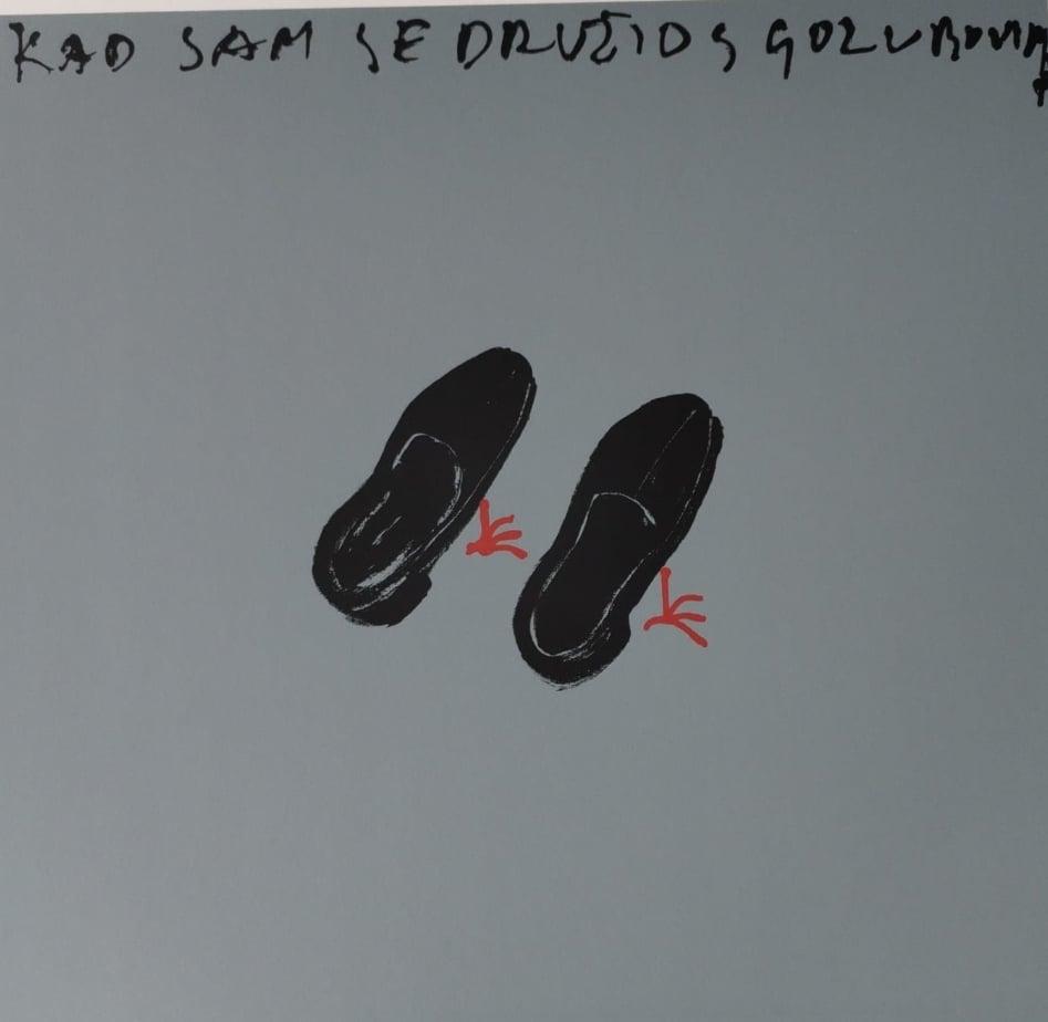 Kad sam se družio s golubovima, Boris Bućan